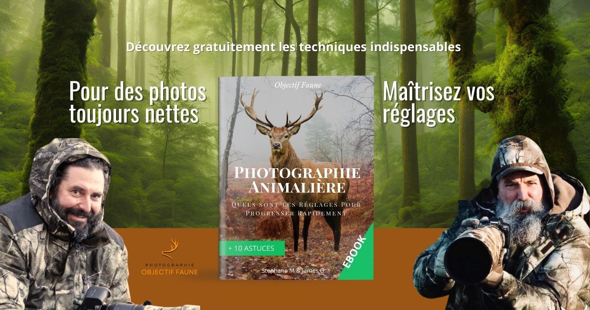 Objectif Faune Ebook guide photo animalière