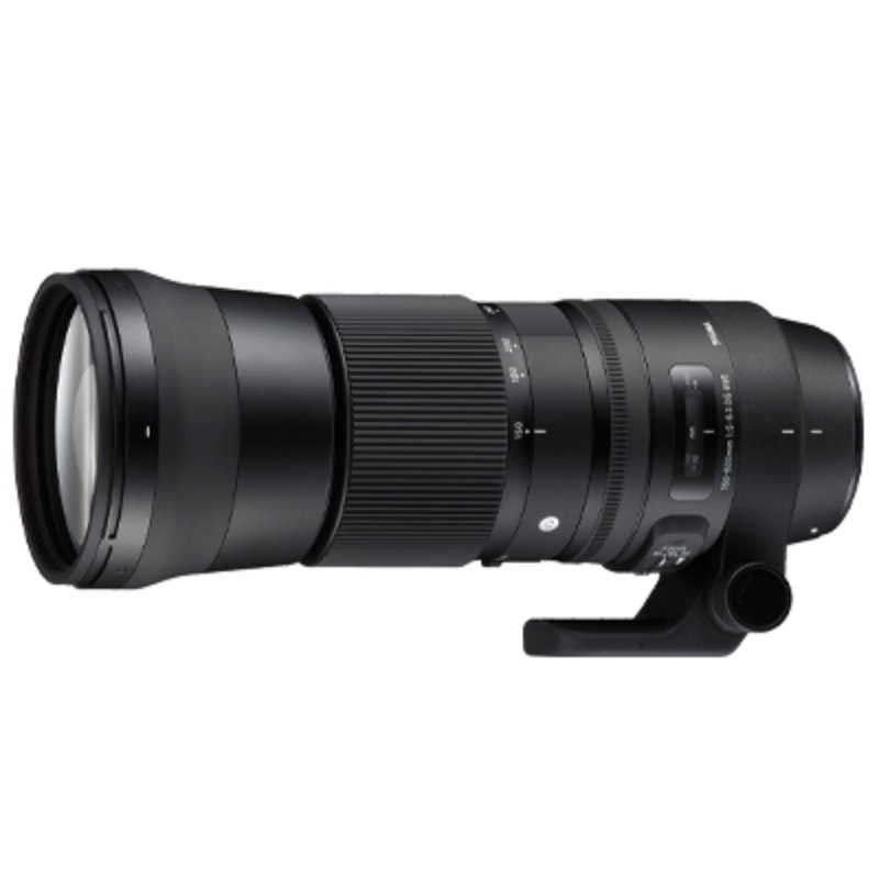 Sigma 1500-600mm idéal pour débuter en animalier