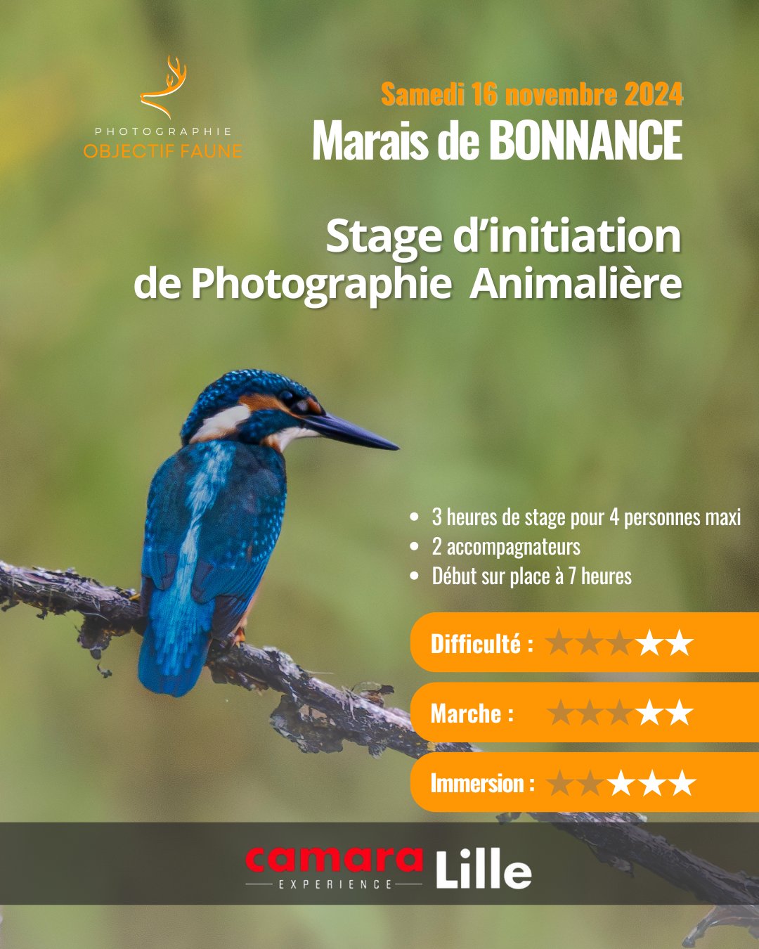 Affiche Atelier photo animalière qui représente un martin pêcheur