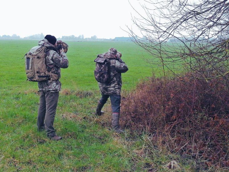 Deux photographes animaliers en plein séance photographique