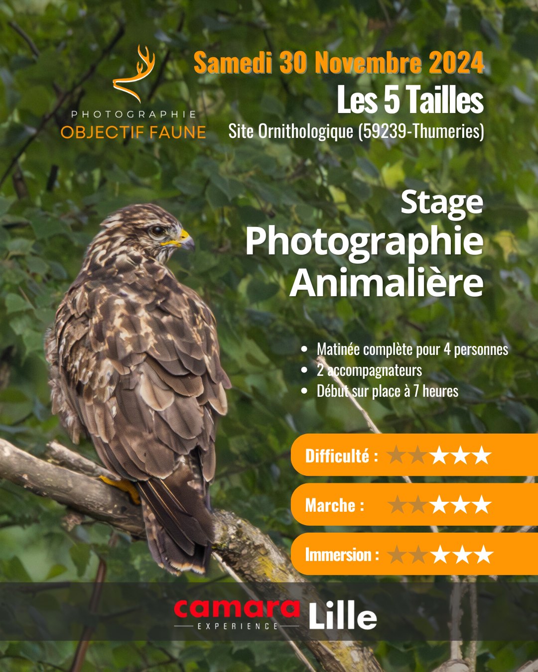 Annonce du prochain atelier de photo animalière avec une buse variable