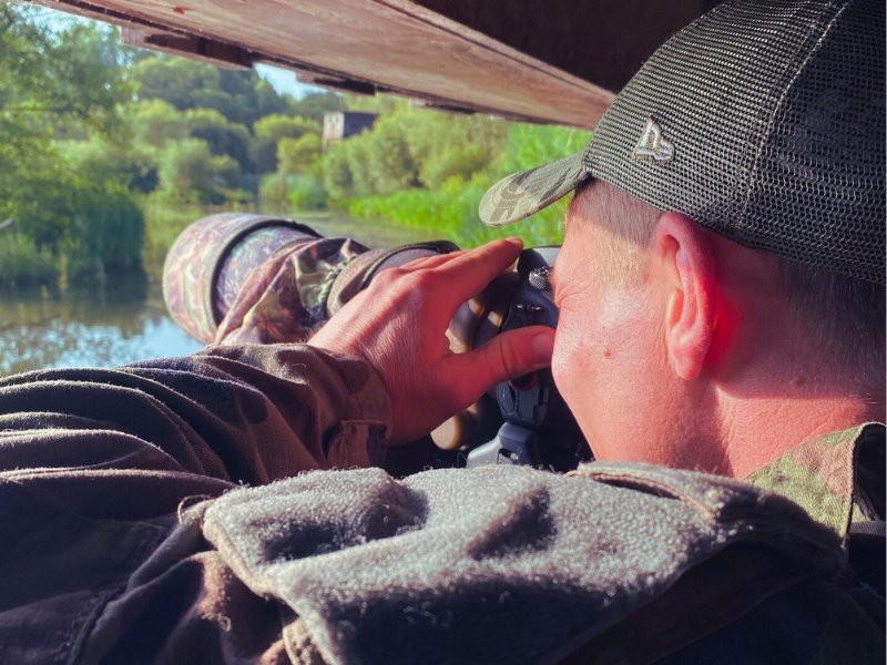 un photographe animalier en affût