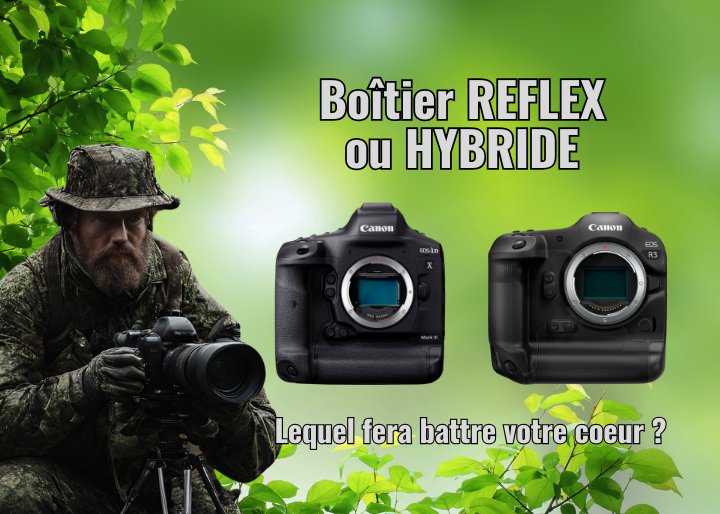 boitier reflex ou hybride