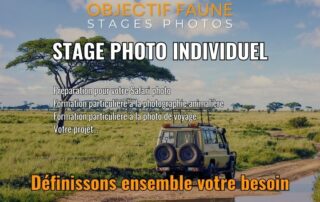 stage safari photo