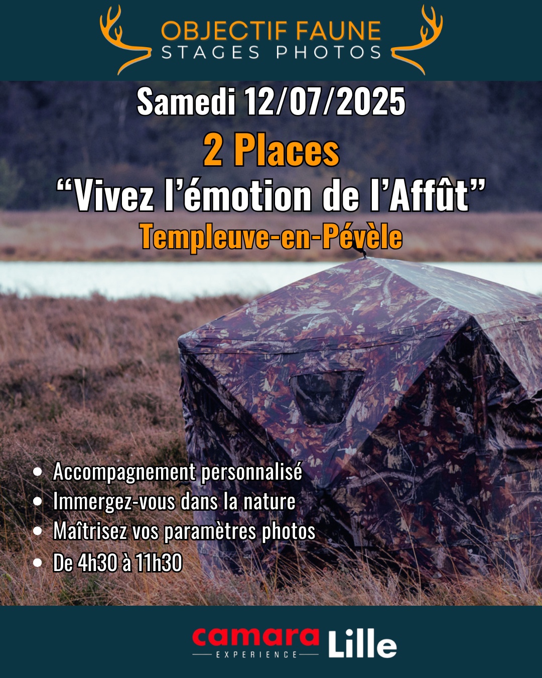 Stage photo animalier Affut 120725