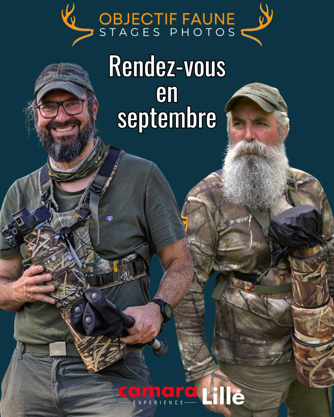 Stage photo animalière nord
