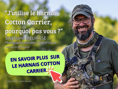 Stéphane Meurisse photographe utilise le harnais COTTON CARRIER