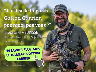 Stéphane Meurisse photographe utilise le harnais COTTON CARRIER