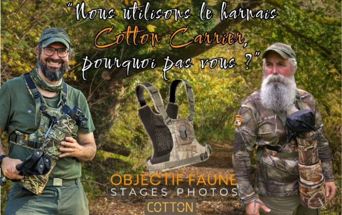 harnais Cotton Carrier porté par 2 photographes