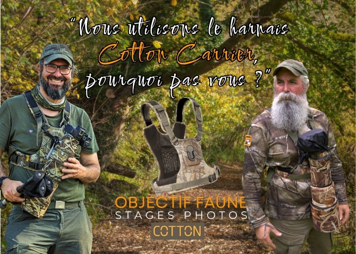 harnais Cotton Carrier porté par 2 photographes