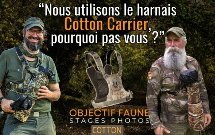 harnais Cotton Carrier porté par 2 photographes