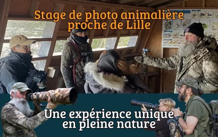Photographie d'un groupe de participants lors d’un stage photo-animalière à Lille