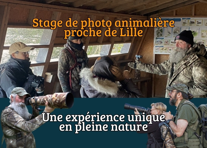 Groupe de Participants lors d’un stage photo animalière à Lille