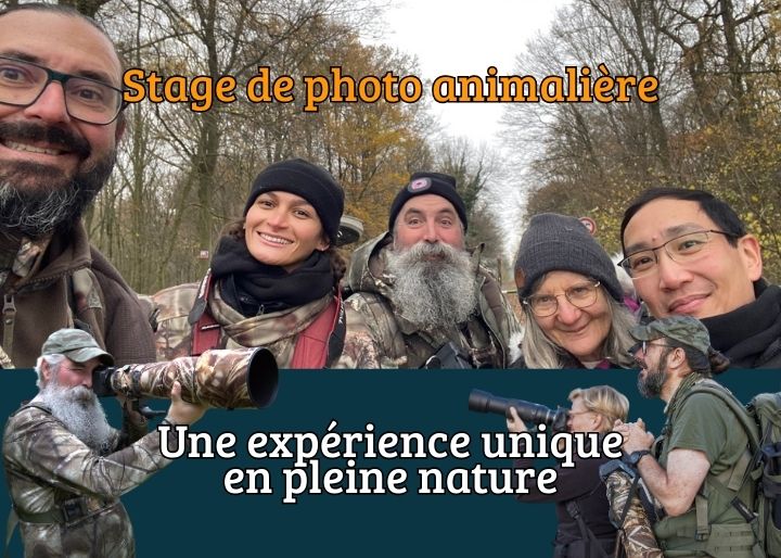 Groupe de Participants lors d’un stage photo animalière dans le Nord