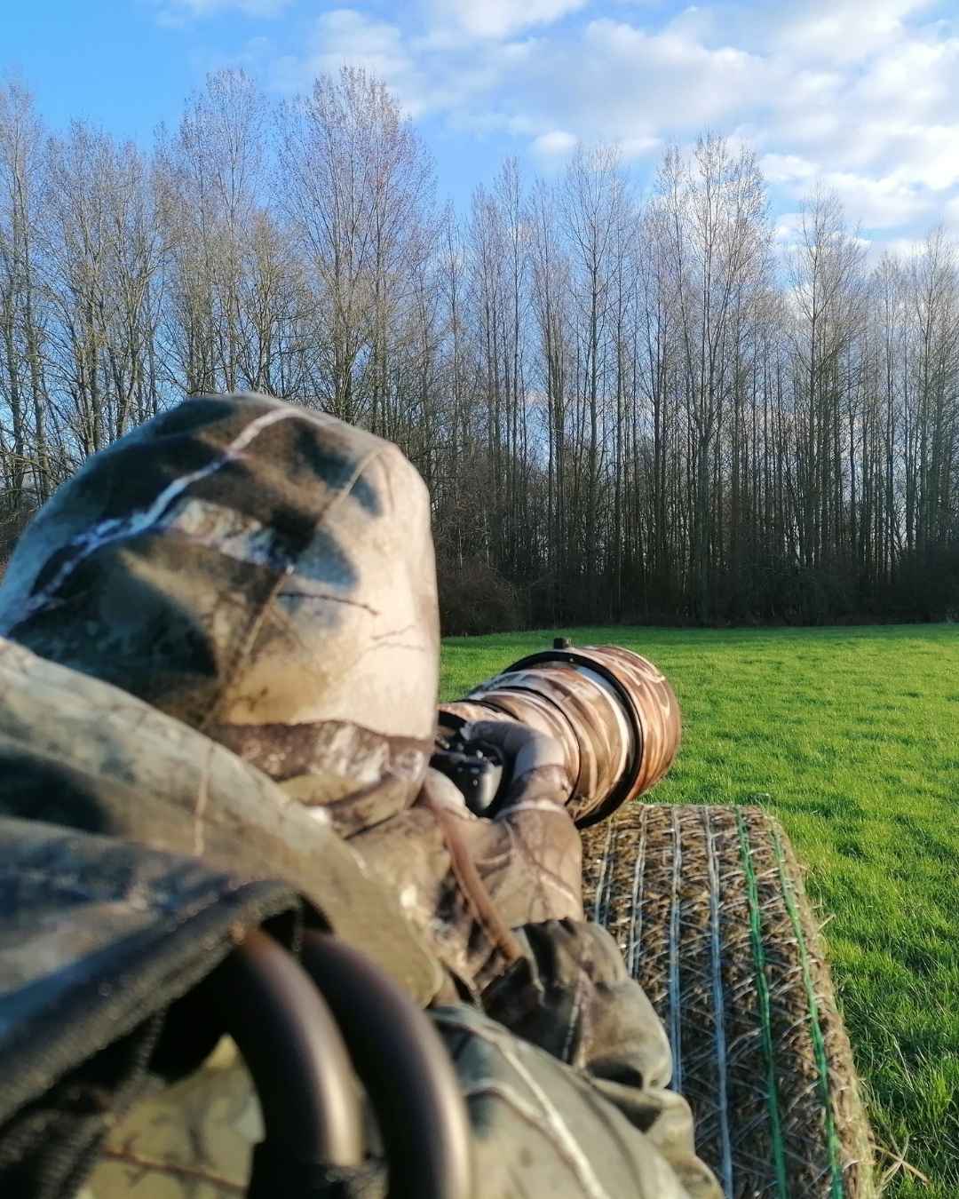 Photographe amateur capturant la faune en pleine nature Photographe débutant capturant la faune en pleine nature