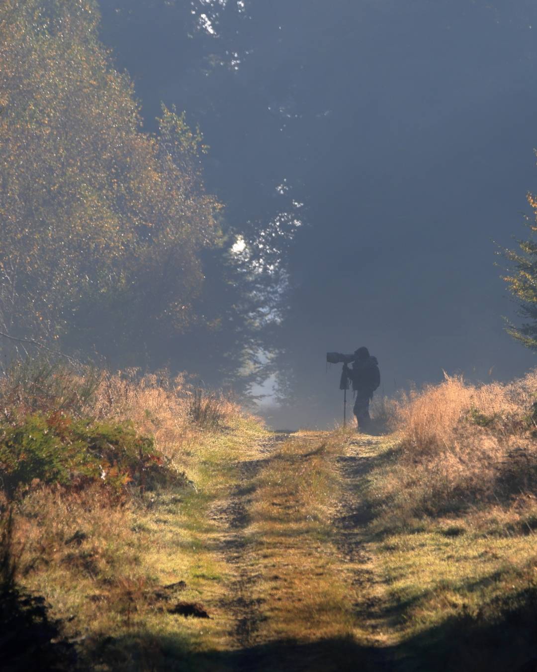 Photographe débutant capturant la faune en pleine nature