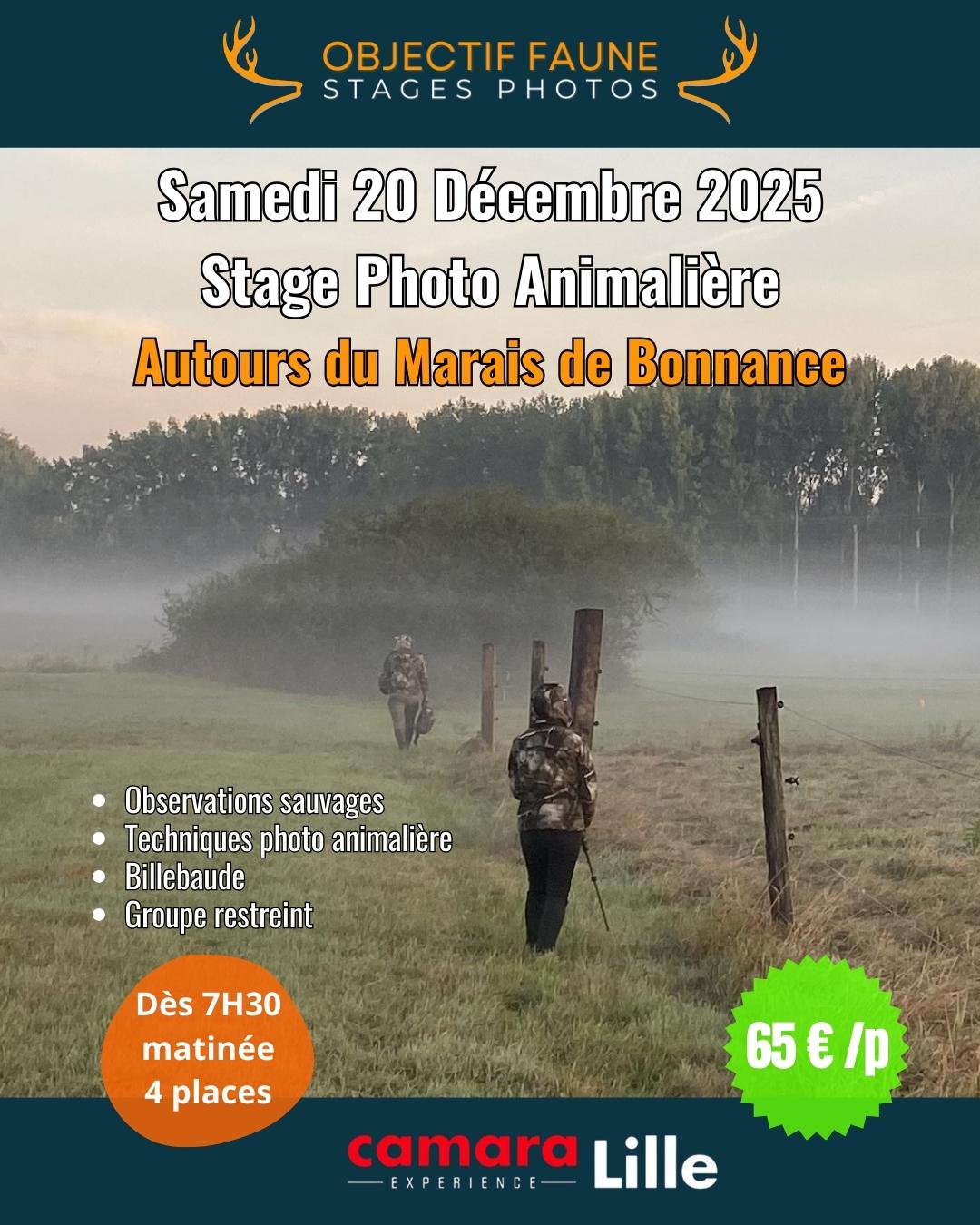 Stage photo nord animalier 201225