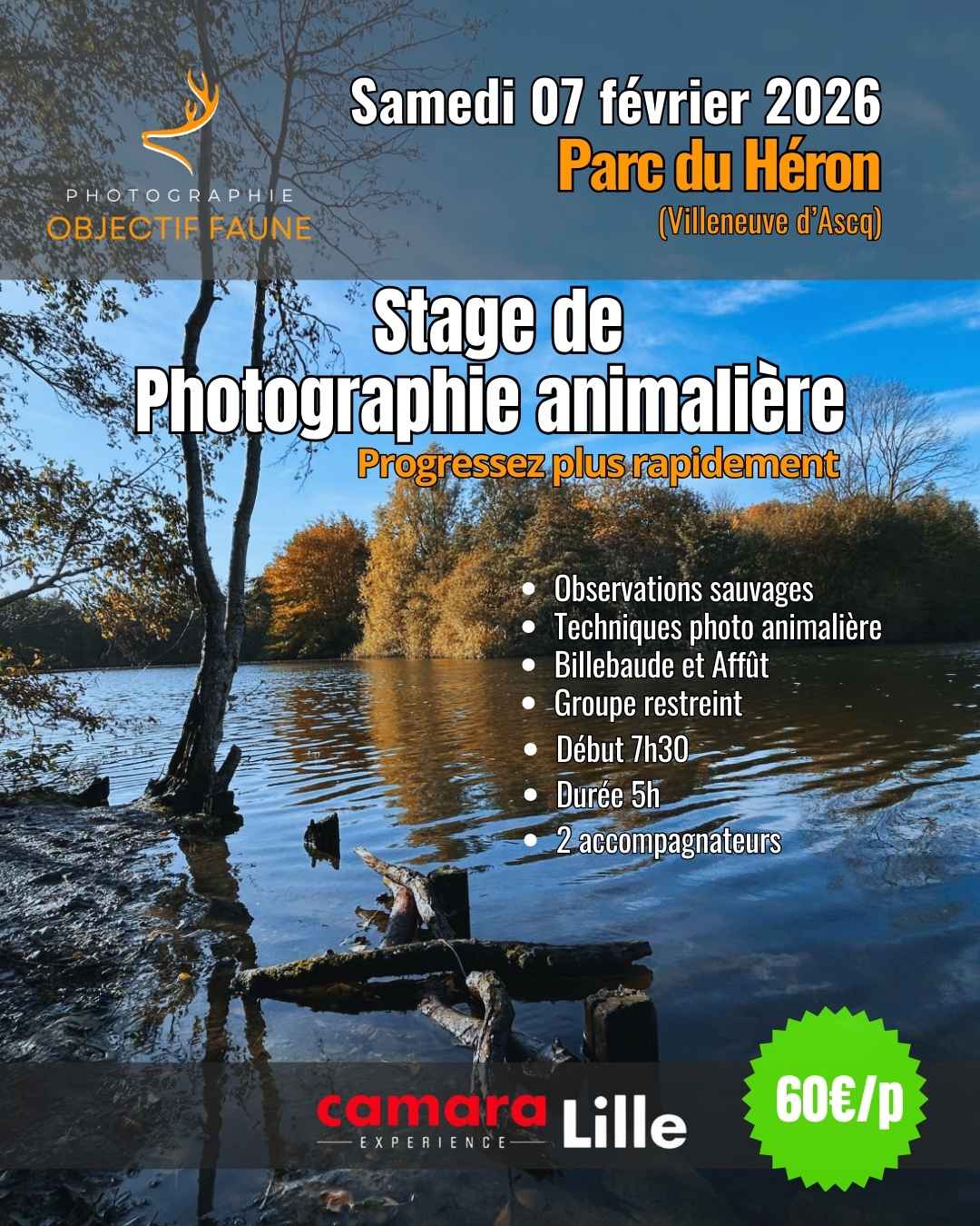 Stage photo lille 070226