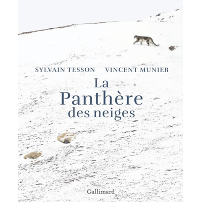 la panthère des neiges le livre