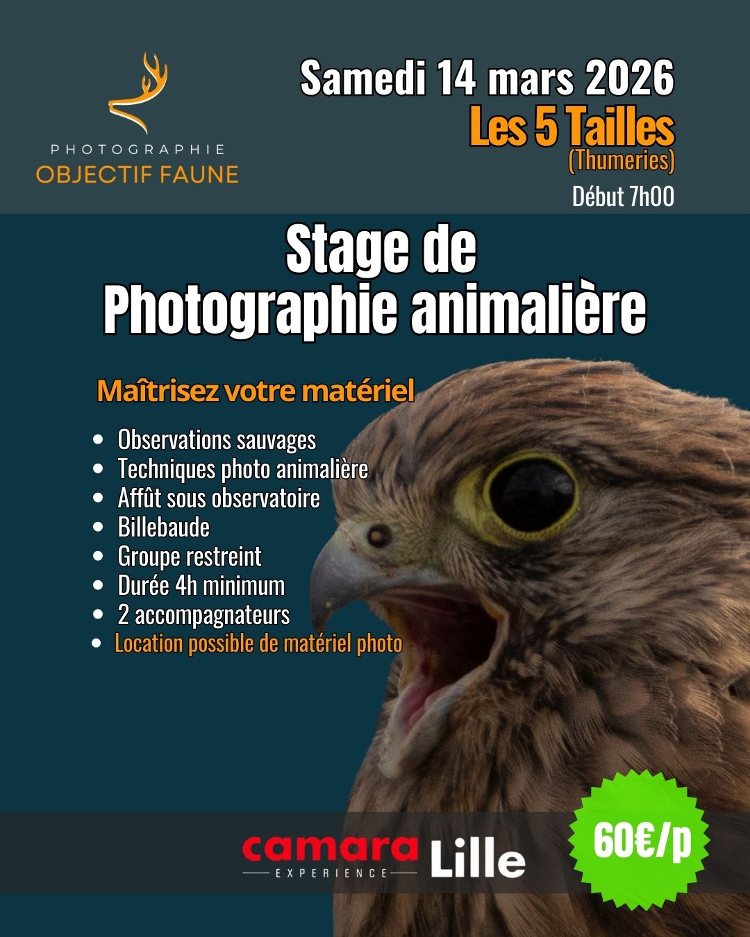 Atelier stage photo faune