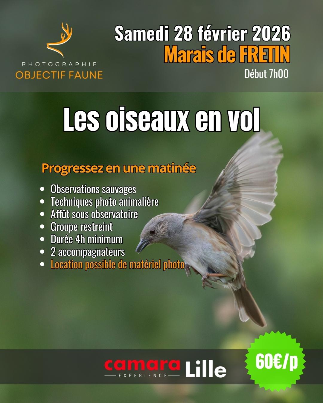 Stage photo atelier photo animalier