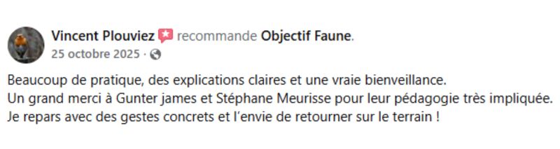 avis stage photo vincent plouvier