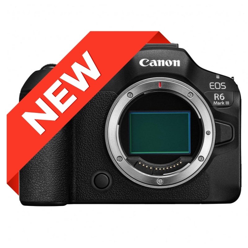 canon eos r6 mark III full frame
