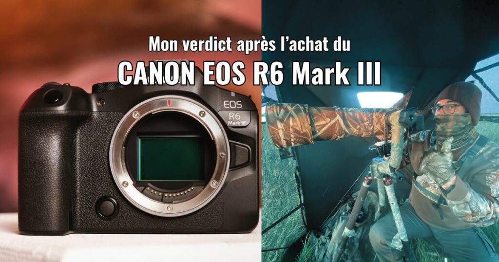 Canon r6 mark III mon verdict après l'achat de ce boîtier photographique révolutionnaire