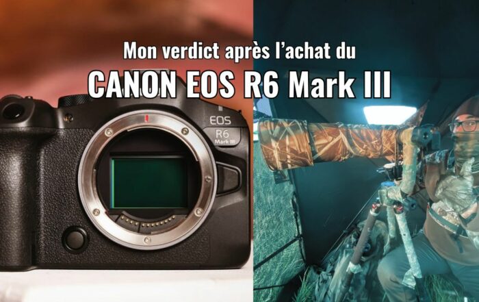 Canon r6 mark III mon verdict après l'achat de ce boîtier photographique révolutionnaire