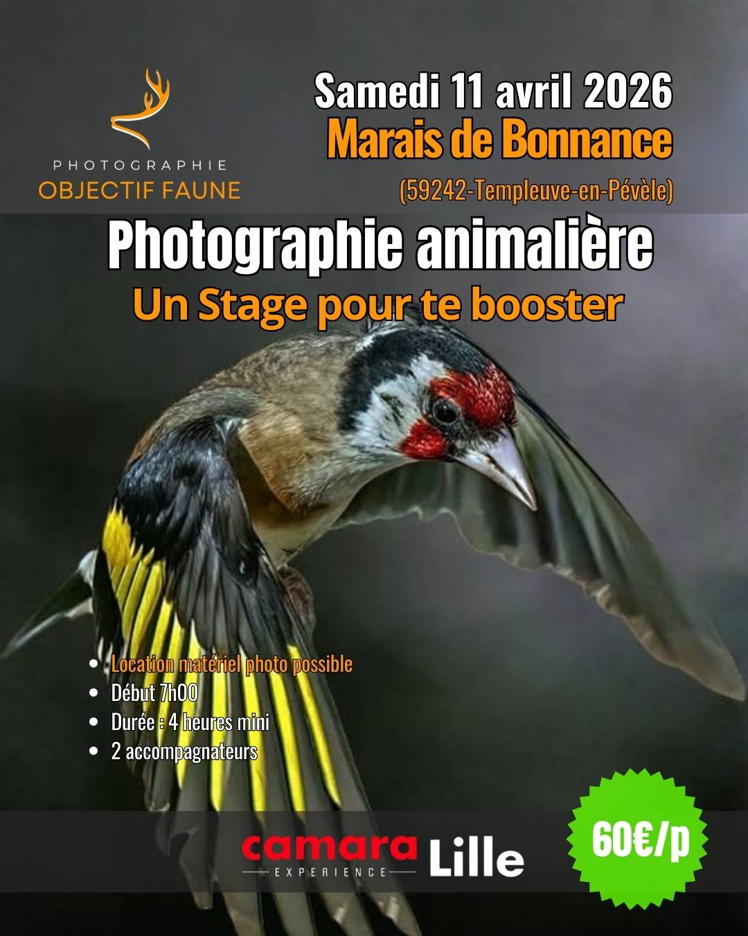 Stage photo 110426 atelier photo Templeuve