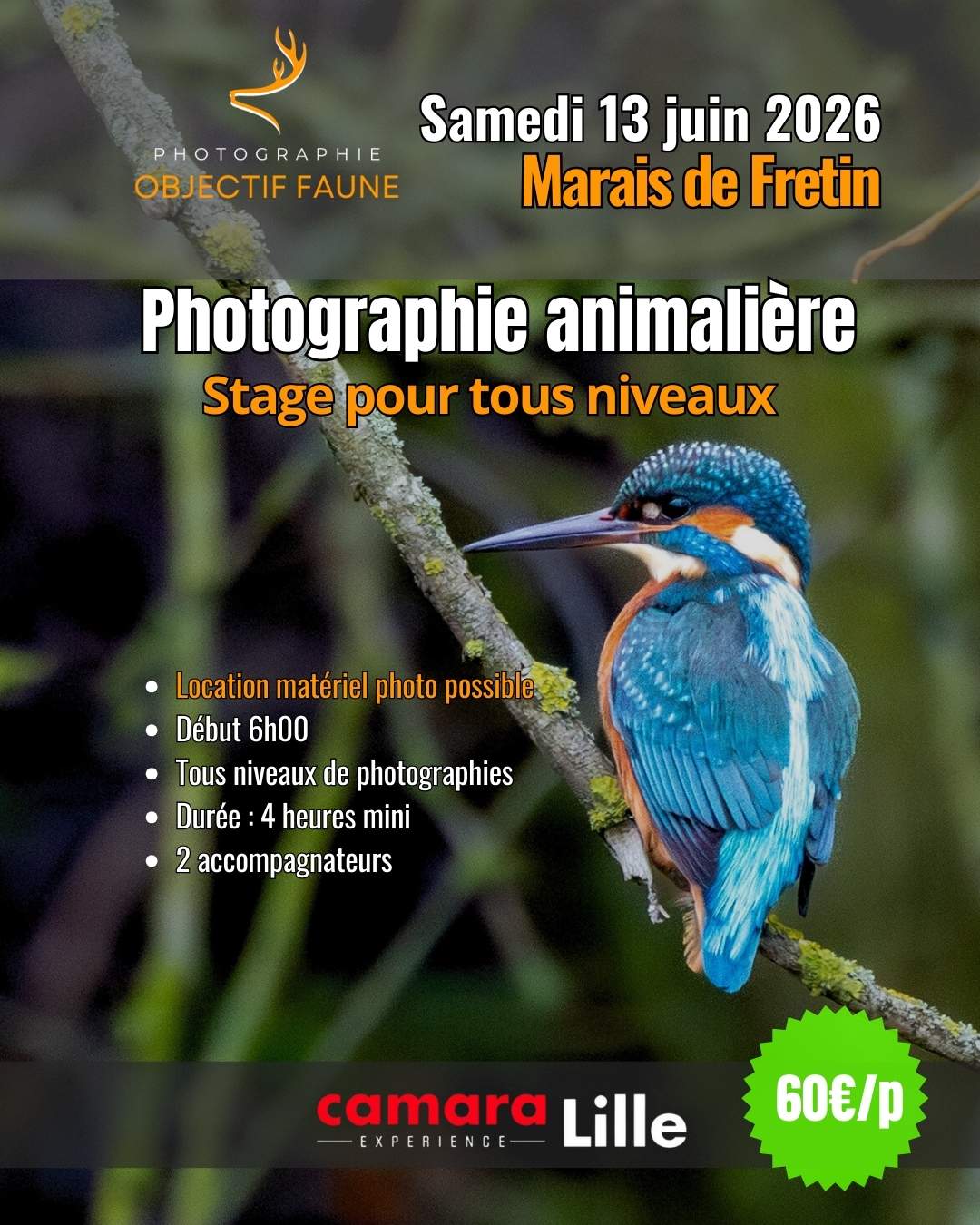 Stage photo animalière lille