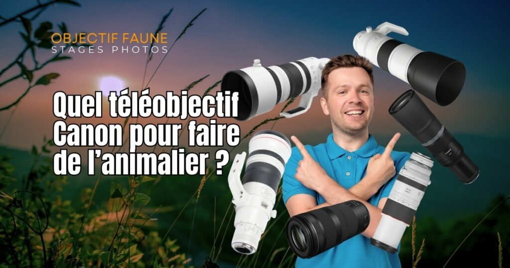 Quel téléobjectif canon pour l'animalier