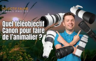 Quel téléobjectif canon pour l'animalier
