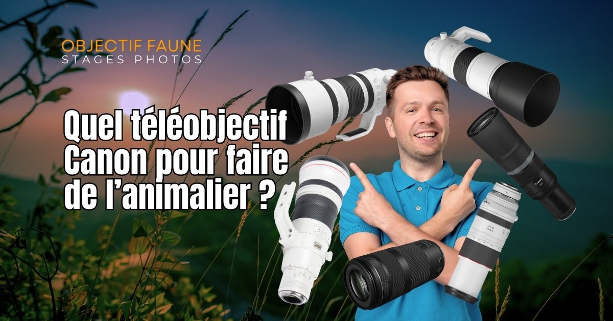 Quel téléobjectif canon pour l'animalier