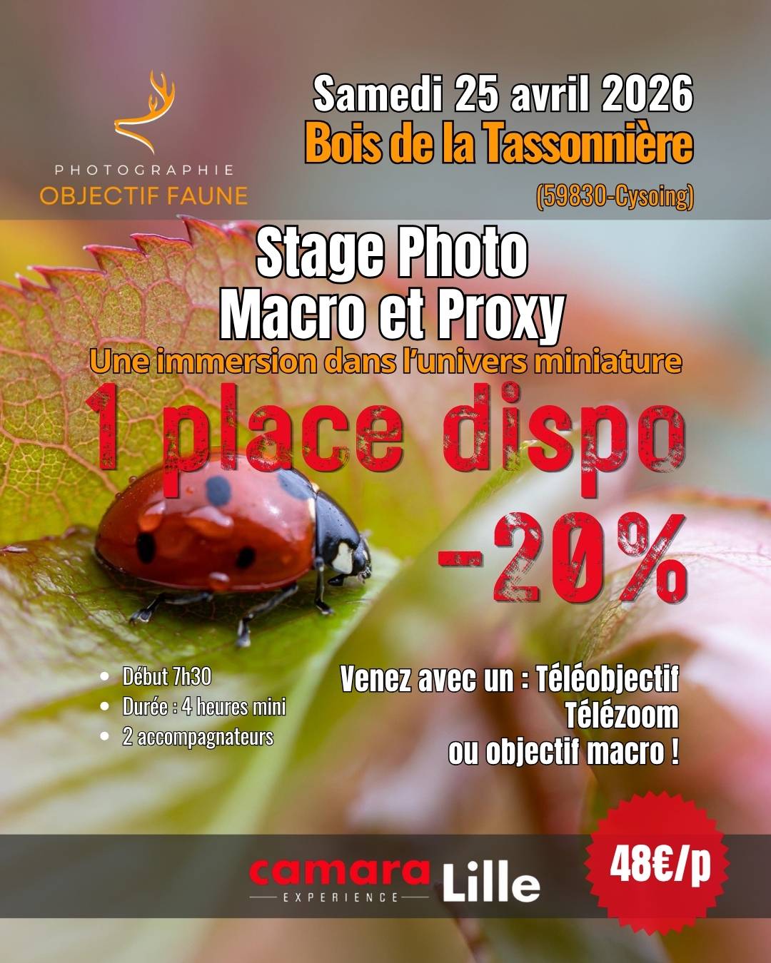 Stage photo 250426 promo