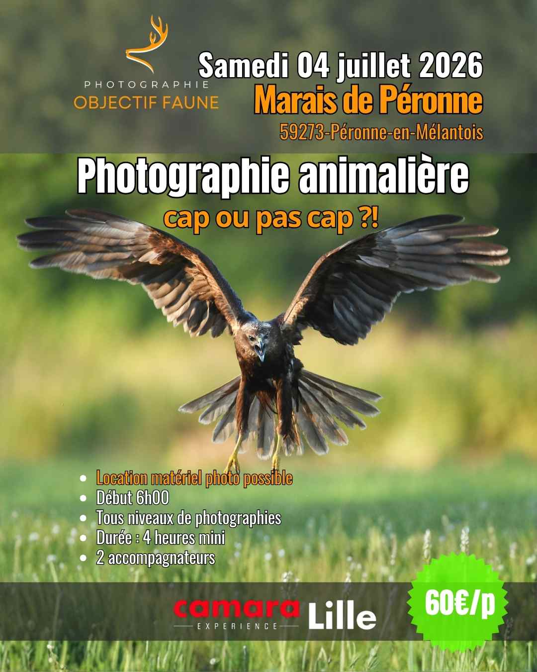 Stage photo animalier du samedi 04 juillet 2026. Dans le nord de la france près de lille