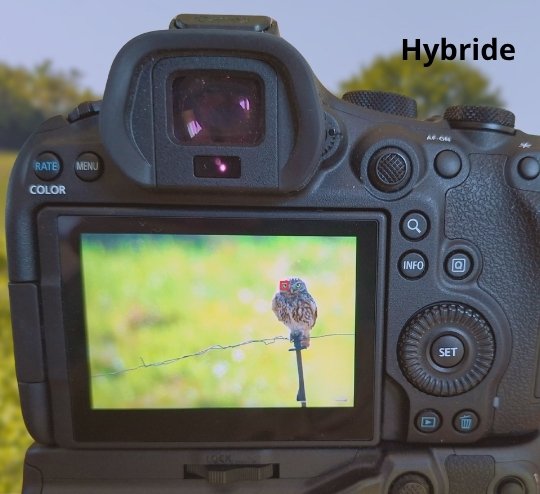 écran arrière canon montrant l'autofocus hybride