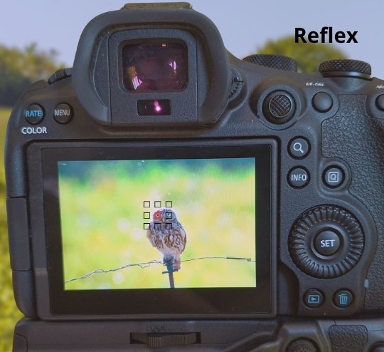 Images d'écran d'appareil photo canon autofocus reflex