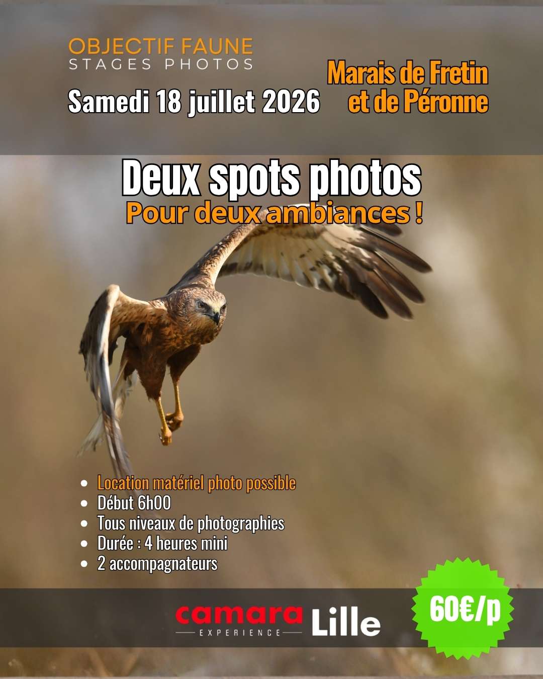 Vignette du Stage photo animalière du 180726