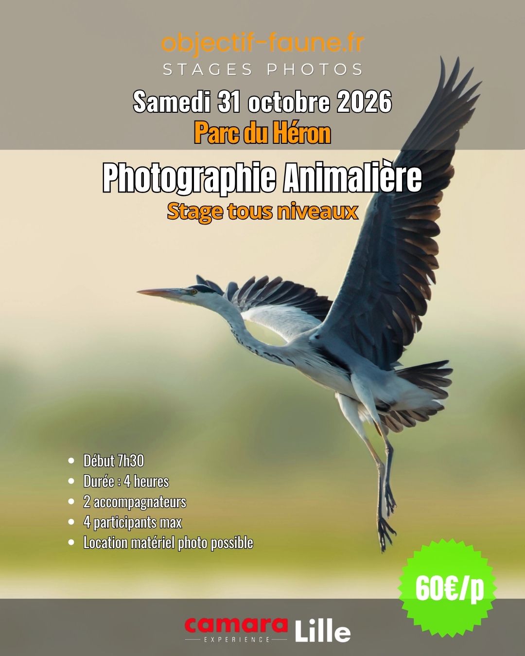 Stage photo animalière nord 311026