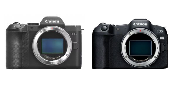 Canon EOS R8 vsR8 MII