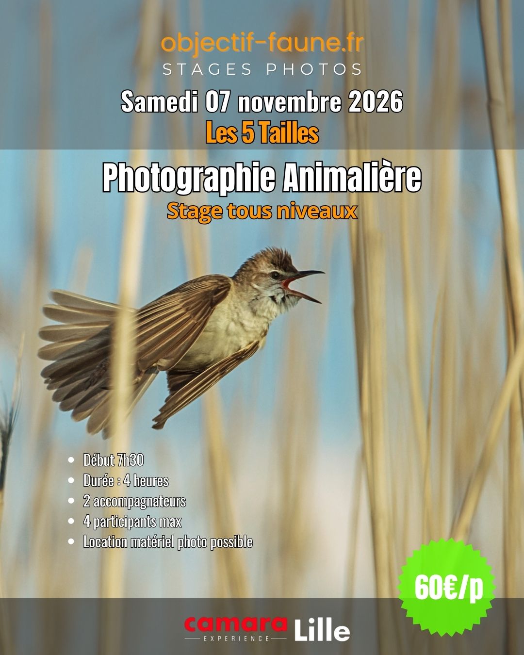 stage de photographie atelier photo animalière