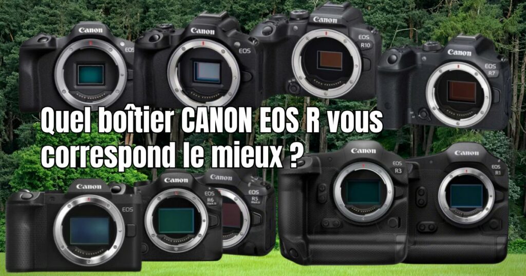 canon eos R pour la photographie animalière