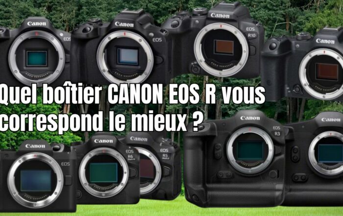 canon eos R pour la photographie animalière