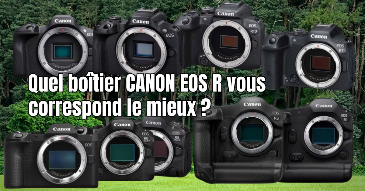 canon eos R pour la photographie animalière