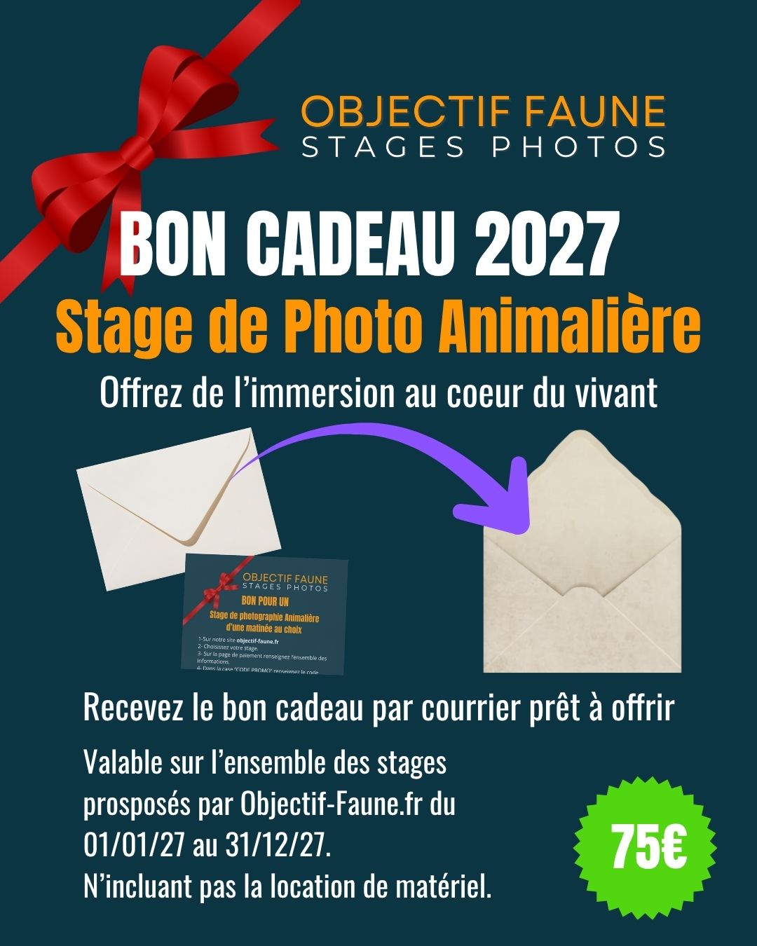 Bon cadeau pour un stage photo animalier en 2027