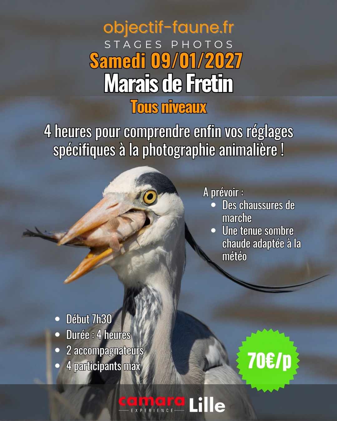 cours de photographie animalière