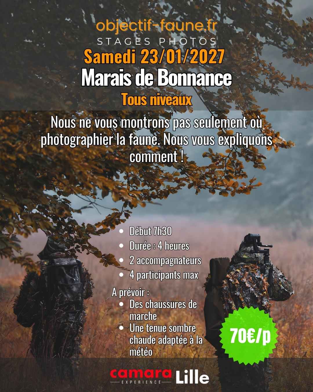 Stage photo animalière dans le nord de la france